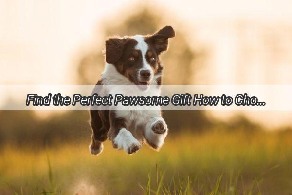 Find the Perfect Pawsome Gift How to Choose and Purchase Dog  Cat Food for a Thoughtful Present